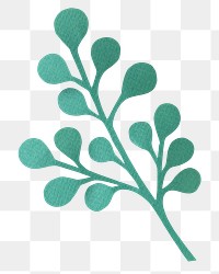 Green leaf png sticker, transparent background
