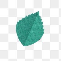 Green leaf png sticker, transparent background