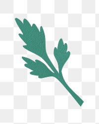 Green leaf png sticker, transparent background