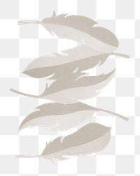 Feather png illustration, transparent background