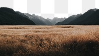 PNG Grassland in Milford Sound, New Zealand collage element, transparent background