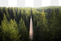 PNG Bridge over a river in a forest collage element, transparent background