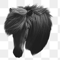 PNG Icelandic horse, collage element, transparent background