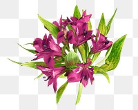 Purple flower png bouquet, transparent background