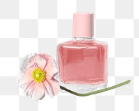 Perfume bottle png beauty product, transparent background