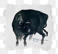 PNG Vintage black bull illustration, ripped paper transparent background. Remixed by rawpixel.