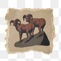 PNG Bighorn sheep illustration, ripped paper transparent background. Remixed by rawpixel.