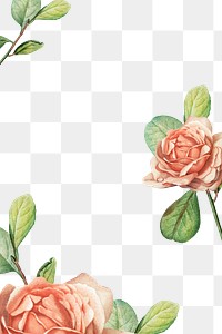 Aesthetic rose png border, transparent background