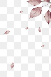 Leaf border png element, transparent background