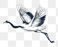 Flying crane png, transparent background