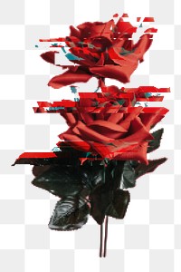 PNG Red rose with glitch effect, collage element on transparent background