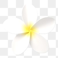 White flower png sticker, botanical 3D cartoon transparent background