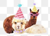 PNG birthday alpacas, collage element, transparent background