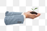 Businessman's hands png cupping plant  transparent background