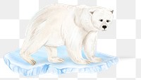 Sad polar bear png global warming sticker, aesthetic paint illustration