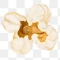 Popcorn snack png, transparent background