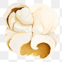 Popcorn snack png, transparent background