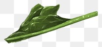 Spinach vegetable png sticker, healthy food, transparent background