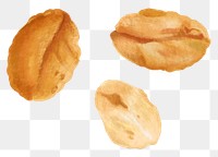 Peanut seed png food, transparent background