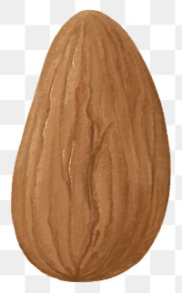 Almond seed png food, transparent background