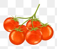 Tomato vegetable png sticker, healthy food, transparent background