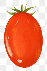 Roma tomato vegetable png sticker, healthy food, transparent background