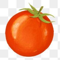 Cherry tomato vegetable png sticker, healthy food, transparent background