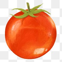 Cherry tomato vegetable png sticker, healthy food, transparent background