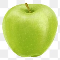 Green apple fruit png sticker, healthy food, transparent background