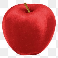 Red apple fruit png sticker, healthy food, transparent background