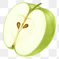 Green apple fruit png sticker, healthy food, transparent background