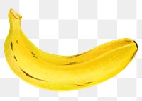 Banana fruit png sticker, healthy food, transparent background