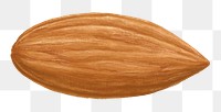 Almond seed png food sticker, transparent background