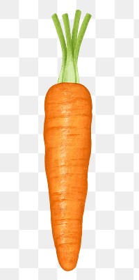 Carrot vegetable png sticker, healthy food, transparent background