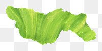 Salad vegetable png sticker, healthy food, transparent background