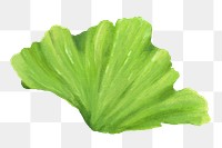 Salad vegetable png sticker, healthy food, transparent background