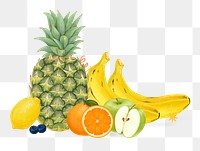 Variety of fruits png sticker, healthy food, transparent background