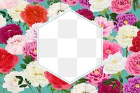 Colorful carnation flower frame, feminine, transparent design