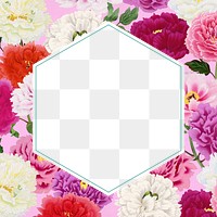 Colorful carnation flower frame, feminine, transparent design