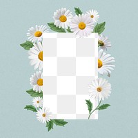 White daisy flower png frame, aesthetic botanical collage, transparent design