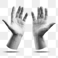 Praying hands gesture png, transparent background