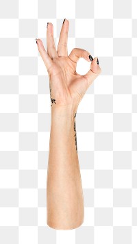 OK png hand gesture, sign language on transparent background