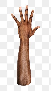 Png five fingers up black hand gesture on transparent background