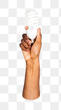 Light bulb png in hand, transparent background