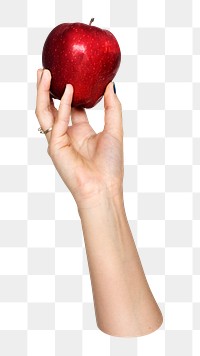 Apple png in hand, transparent background