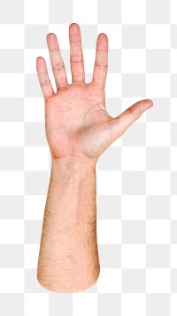 Png hand raised gesture on transparent background