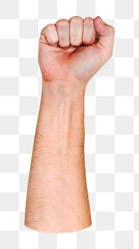 Fist png hand gesture, sign language on transparent background