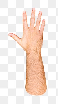 Png five fingers up hand gesture on transparent background