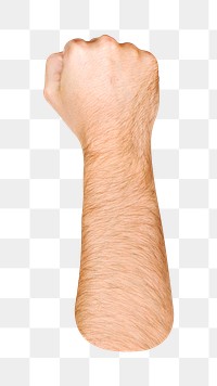 Fist png hand gesture, sign language on transparent background