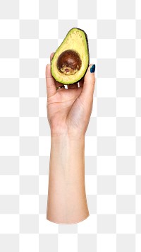 Avocado png in hand on transparent background